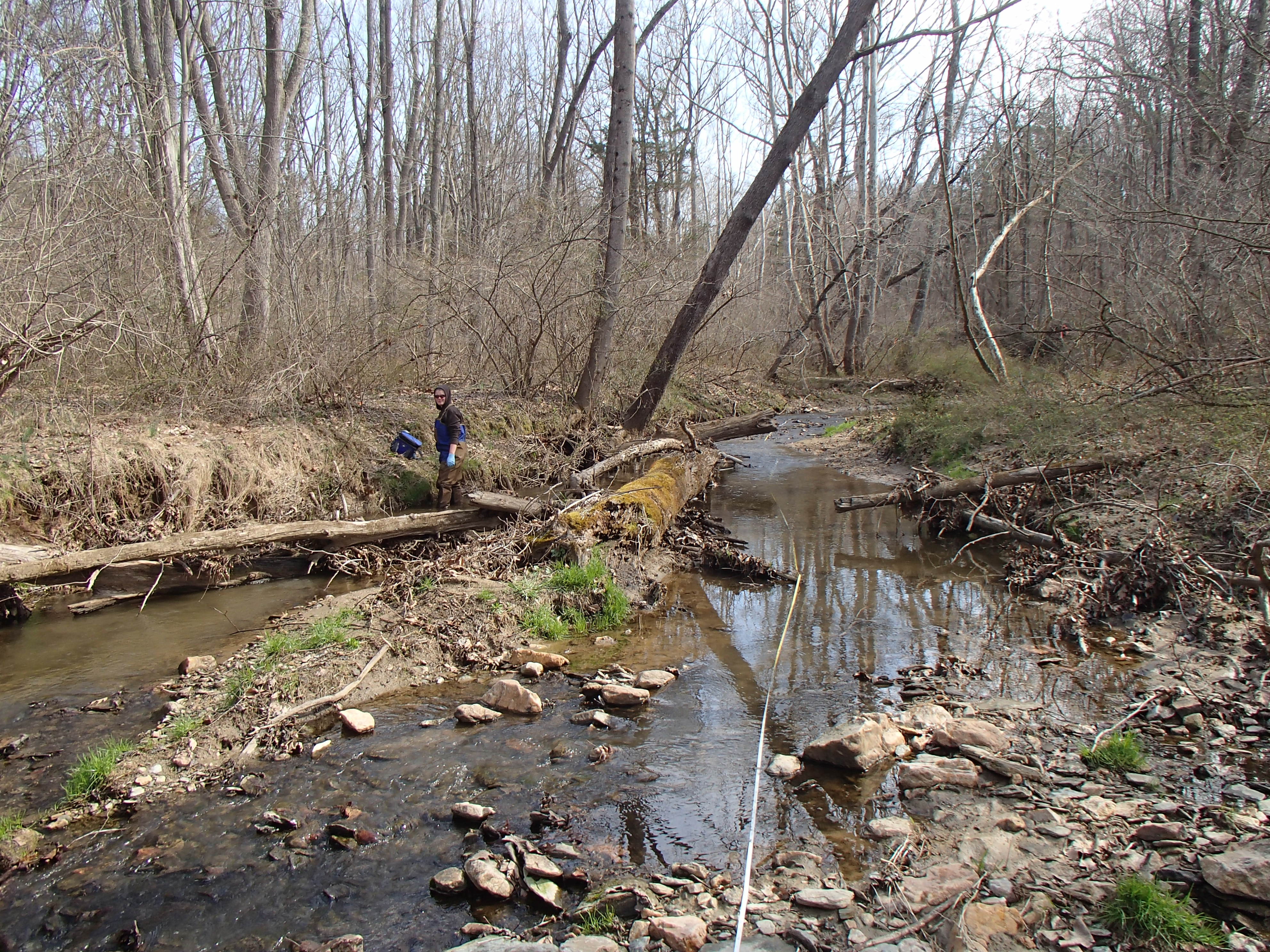 Field photo showing stream conditions at site LOCH-121-R-2016_midpoint looking upstream